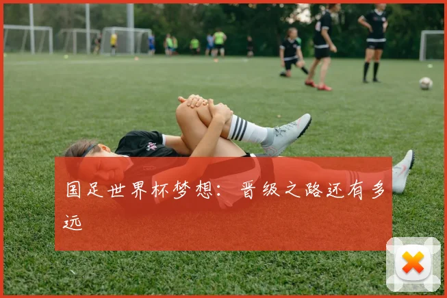 国足世界杯梦想：晋级之路还有多远